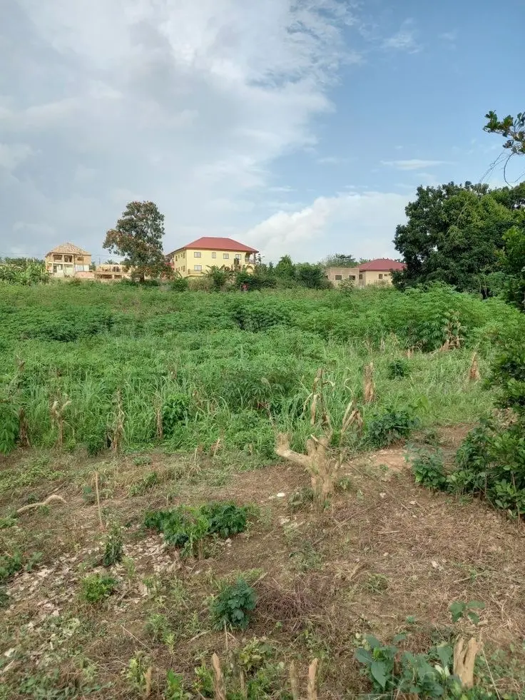 100x100 Plot with Title — photo 1