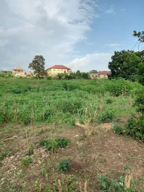 100x100 Plot with Title